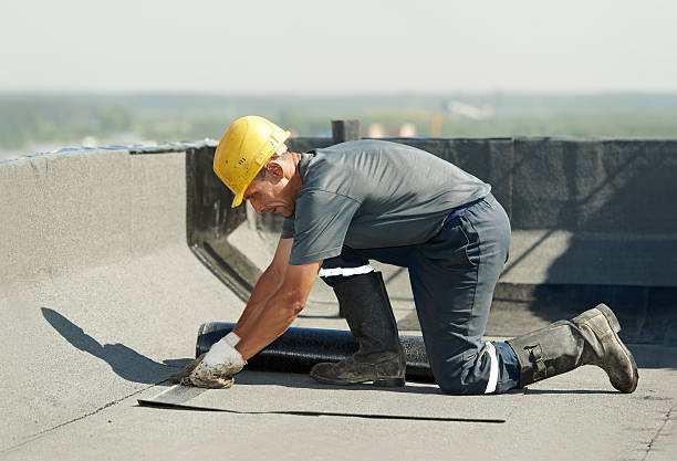 Best Specialized Insulation Services in Puyallup, WA