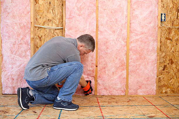 Best Eco-Friendly Insulation in Puyallup, WA