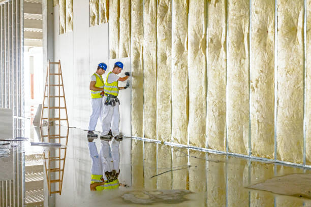 Types of Insulation We Offer in Puyallup, WA